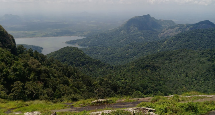 Trekking @ Nelliyampathy